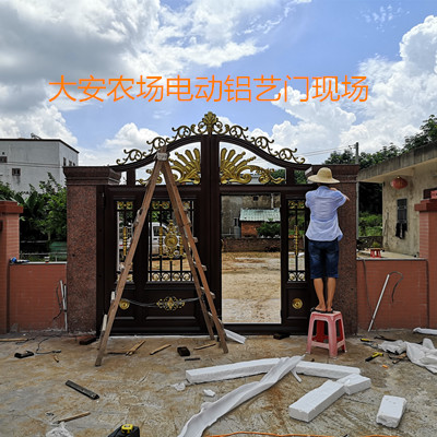 汕尾陆丰大安农场装置电动铝艺门